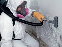 Mold Remediation for Rental Properties in China Grove, NC